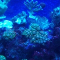 3-29-10 Update