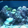 FTS 3/30/09