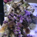 A Side View 3/31/10
