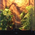their new home *expensive*