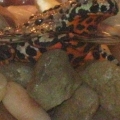 toad 2