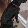 Parker
