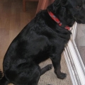 parker