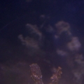My 2 seahorses together