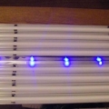 T5 fixtures have some LED lights also