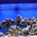 FTS