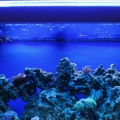 FTS AM