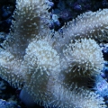 DSC02286