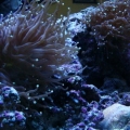DSC02189