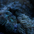 DSC02260