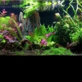 75 display
