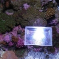 top view w/ new 150w JBJ K-2 Viper