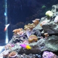 Right side of tank
