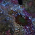 DSC 0321