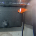 tomato clown two