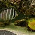 IMG 7671