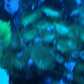 05 10 2010 (2)
