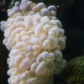 IMG 7575