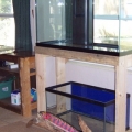 90 gal with 40 gal sump below