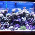 my 90 gallon
