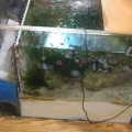 This is the refugium complete with 6" sandbed live rock and cheato.