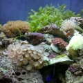 Fairly recent picture of the 'cube.