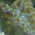 6 27 2010 (3)