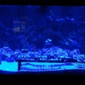 Led Cree Build 065