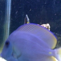 12281