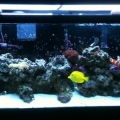 tank