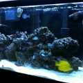 tank2