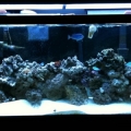 tank3