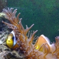You don't see me