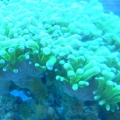 DSCN3585