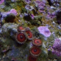 Aug 22 2010 8205