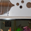 FW tank built in my wall between my living room & dining room