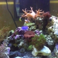 CIMG0024[1]