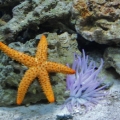 DSCN0097