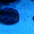 IMG00314 20101014 1307