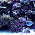 IMG00011 20100701 1958