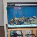 45g tall Tank Build rough frame stand