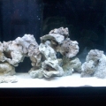 Start of 75g