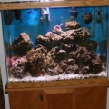 This is my old 60 gal tank