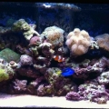 FTS.  Sorry for all the blur using my iphone camera for these pics :/