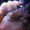 Another side view..
