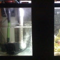30 gal Ref/sump