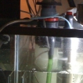 Protein skimmer