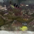 IMG 20110105 185800