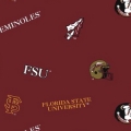 FSU035