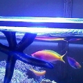 see how close it is. just enough room to let the water still flow over the sides without interfering